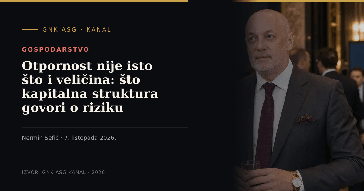 Otpornost nije isto što i veličina: što kapitalna struktura govori o riziku grupe